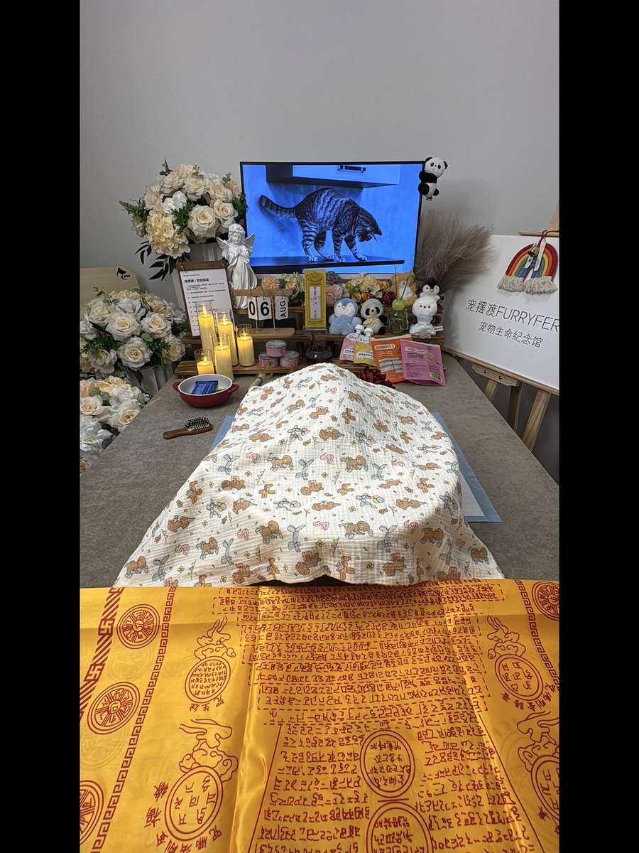 昆明宠物殡葬告别厅实景